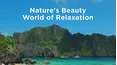 Nature's Beauty: World of Relaxation