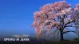 Spring in Japan