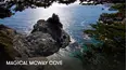 Magical Mcway Cove