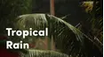 Tropical Rain Relaxation