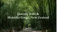 Dorothy Falls & Hokitika Gorge: New Zealand
