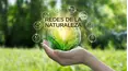Redes de la naturaleza