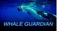 Whale Guardian