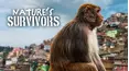 Nature's Survivors