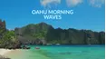 Oahu Morning Waves