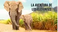 La aventura de los elefantes