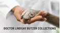 Doctor Lindsay Butzer Collections