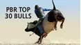 PBR Top 30 Bulls