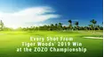Every Shot From Tiger Woods' 2019 Win at the ZOZO Championship