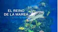 El reino de la marea