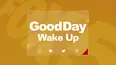 Good Day New York Wake Up