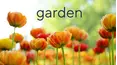 Garden Buds With Alberti & Sandra