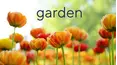 Love Your Home & Garden