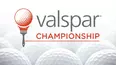 2015 Valspar Championship