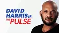 David Harris Jr. The Pulse