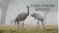 A Southern Winter