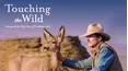 Touching the Wild: Living with the Mule Deer of Deadman Gulch