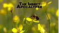 The Insect Apocalypse