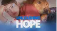 Unleashing Hope