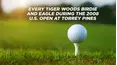 Every Tiger Woods Birdie and Eagle During the 2008 U.S. Open at Torrey Pines