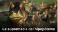 La supremacía del hipopótamo