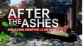 After the Ashes: Rebuilding from the LA Wildfires