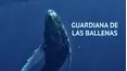 Guardiana de las ballenas
