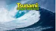 Tsunami: Facing the Global Threat