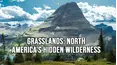 Grasslands: North America's Hidden Wilderness