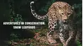 Adventures in Conservation: Snow Leopards