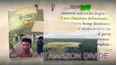 The Amazon Divide