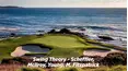 Swing Theory - Scheffler, McIlroy, Young, M. Fitzpatrick