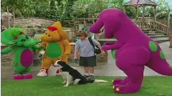 Pets - Vets