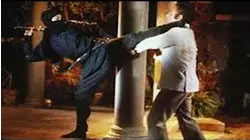 Bruce and the Shaolin Bronzemen