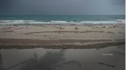 911 calls released of wife's pleas to save husband who drowned saving their children