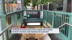 Woman slashed multiple times with a scalpel inside Mott Haven train station