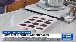 These school-safe cupcakes are free of top 9 allergens