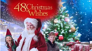 48 Christmas Wishes