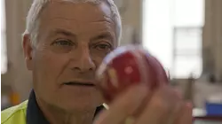 Toilet Paper and More