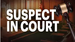 Wyandanch man accused of throwing sulfuric acid on girlfriend's face and body