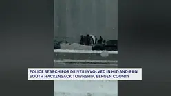 Search underway for box truck driver after hit-and-run on I80