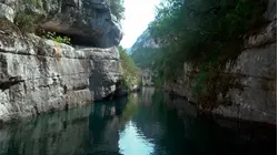 Homo Sapiens in Provence