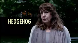 Hedgehog