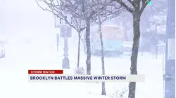 Tracking snowy road conditions in Canarsie