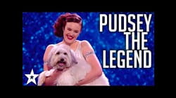 PUDSEY missed but never forgotten! WINNERS of Britain's Got Talent 2012