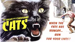 Night of 1000 Cats