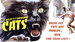 Night of 1000 Cats