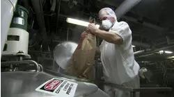 Road Rollers and More