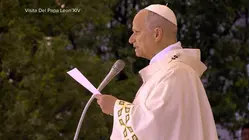 1.2 million attend Pope Leo's mass in Spain