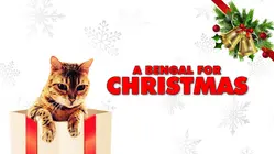 A Bengal For Christmas